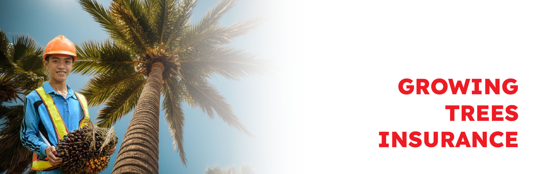 Banner Desktop