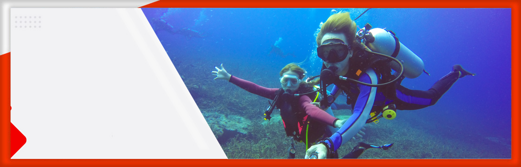 Tips dan Trik Sebelum Memulai Petualangan Menyelam di Alam Bawah Laut Indonesia!