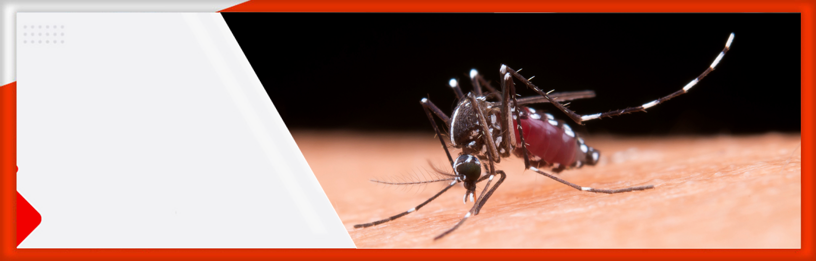 Siap Hadapi Resiko Demam Berdarah Dengue