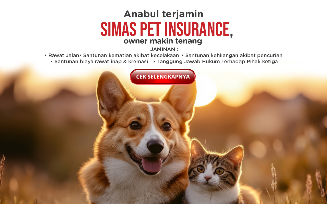 promo april 2025 - pet insurance