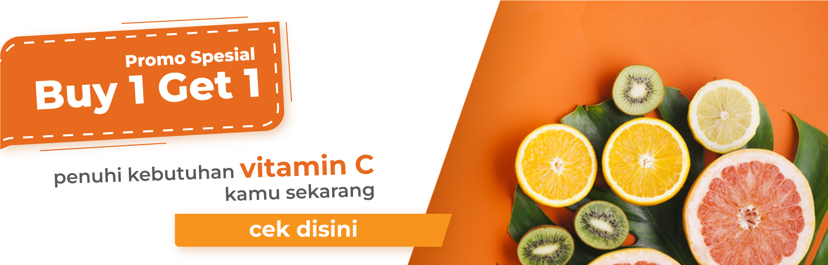 banner promo dlanier web